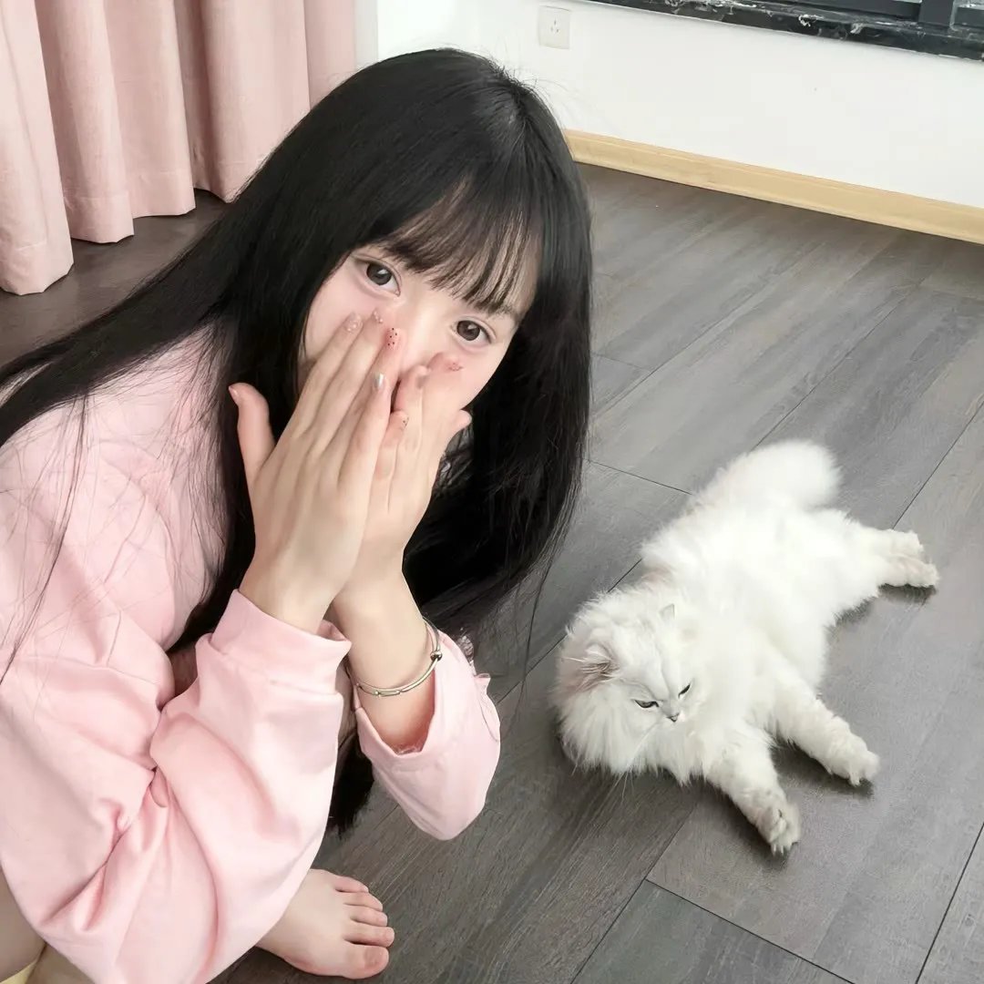 日本以外全部沉没